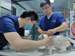 -嘉馨宠物医院·CT影像转诊·心脏科·犬猫全科诊疗中心(下沙大学城院区)