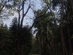 -金山植物公园