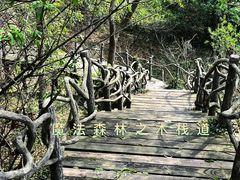-南京市江宁方山