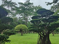 -南宁南湖公园