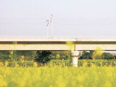 -光明小镇欢乐田园