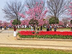 -凤凰沟景区