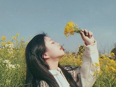 -瑶湖郊野森林公园