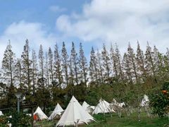 -前小桔亲子创意农场·草莓采摘·露营烧烤