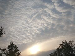 -桃花岛景观公园