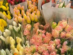 -循礼门鲜花花市(武汉循礼门店)