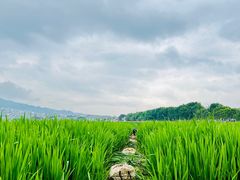 -和顺古镇