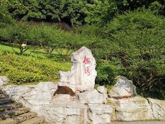 -重庆彩云湖湿地公园