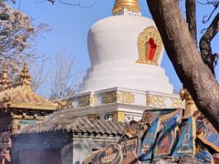 -护国法轮寺