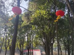-美兰湖景区