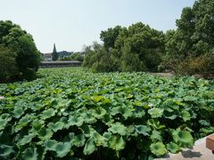 -东坡赤壁风景名胜区