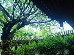 -望江楼公园