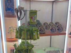 -可爱抓 COCO  GOTCHA(天津鹏欣水游城店)