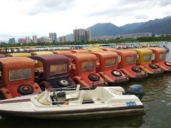 -飞来湖湿地公园