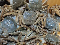 -川骄海鲜自助(亚运村店)