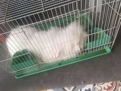 -南京夫子庙国际青年旅舍(平江府路店)