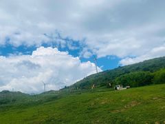 -齐岳山