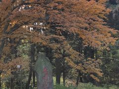 -庐山风景区花径公园