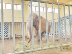 -石家庄市动物园