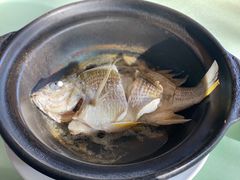 油盐焗海立鱼-百味馆·粤菜·湛江菜(后海花园店)