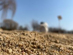 -济南国际园博园