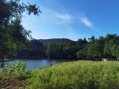 -武陵山森林公园