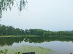 -北坞公园