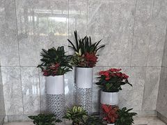 -铂斯登行政公寓(深圳北站汇隆中心店)