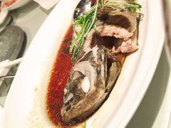 -宝燕壹号(徐汇店)