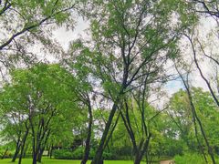 -西溪国家湿地公园