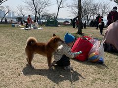 -蠡湖大桥公园