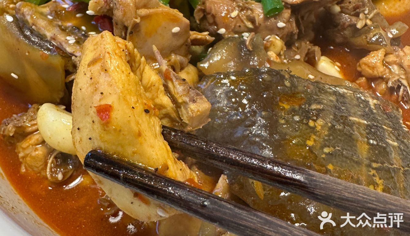 吃甲鱼的专门店  达人甲.砂锅甲鱼