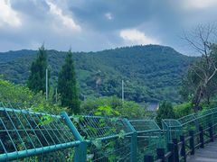 -树山生态村