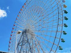-大阪海游馆
