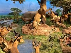 -国家自然博物馆