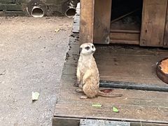 -呀诺达热带雨林