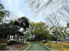 -中山公园