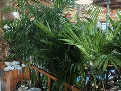 -天发长铁锅炖(王秀村店)