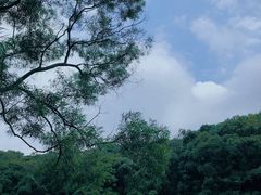 -广州市白云山风景名胜区