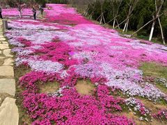 -棒棰岛宾馆景区