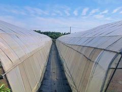 -上膳源有机农场