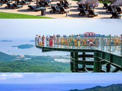 -亚龙湾热带天堂森林公园
