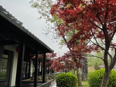 -禧宴Joyous Restaurant(禧园店)