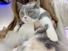 -极木²邸 人与宠物·互动社区