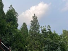 -黄花溪