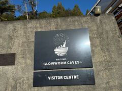 -怀托摩萤火虫洞