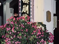 -海口骑楼老街历史文化街区