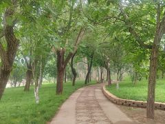 -元大都城垣遗址公园