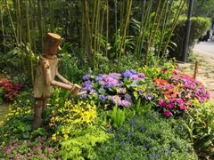 -深圳仙湖植物园