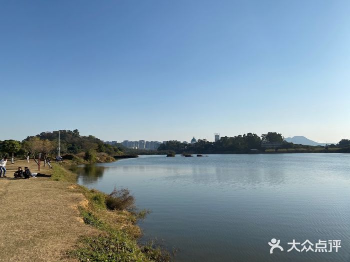 松山湖南湖湾露营营地图片
